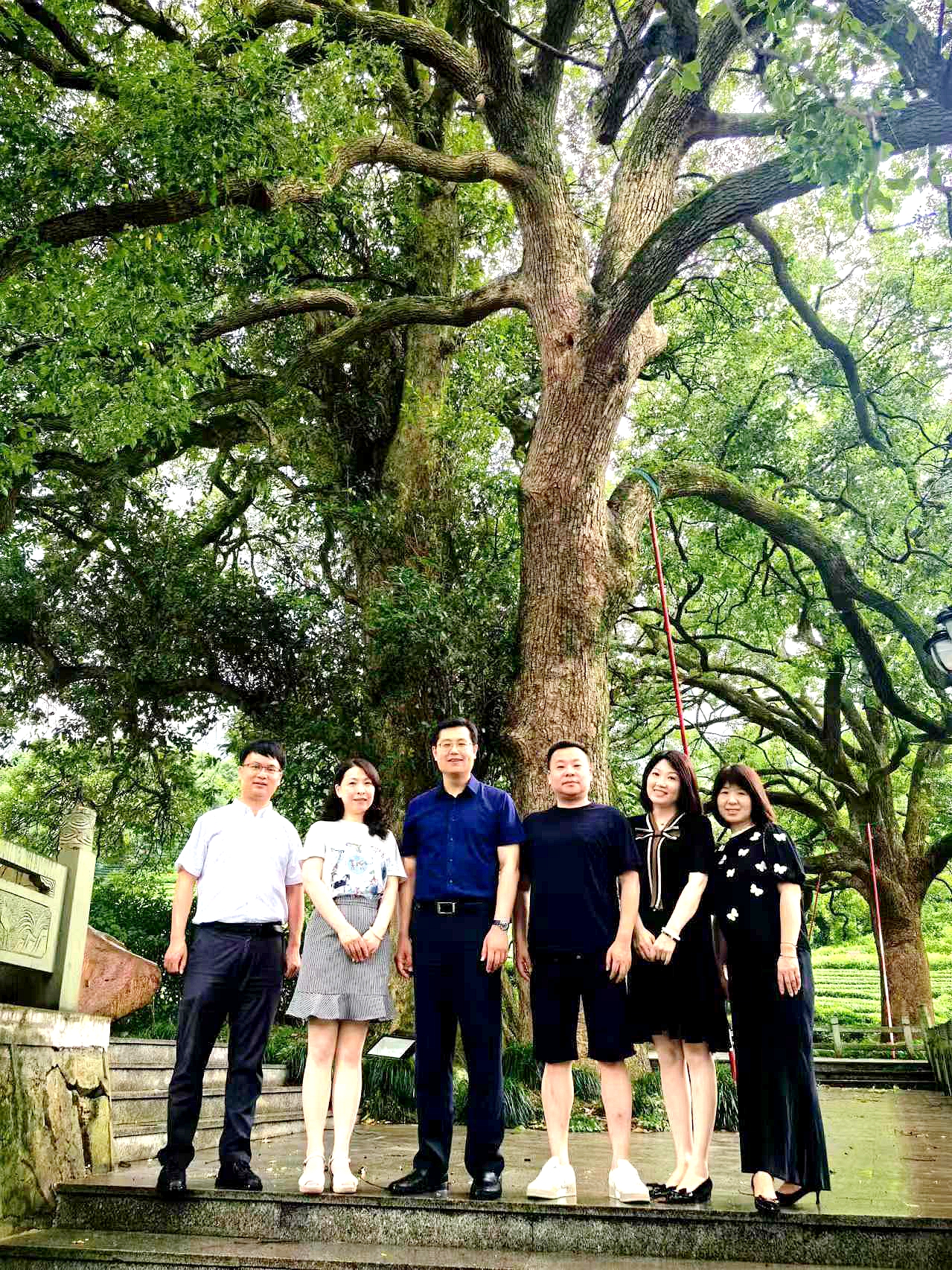 尊龙凯时(中国)人生就是搏!集团第一党支部与所巷社区党委联合开展“茶香润心 廉洁铸魂”主题党日活动